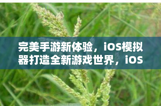 完美手游新体验，iOS模拟器打造全新游戏世界，iOS模拟器打造全新游戏世界，完美手游新体验