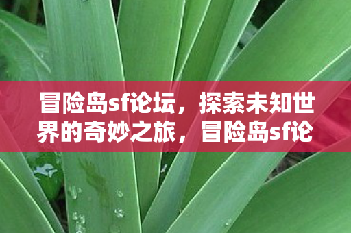 探索未知世界的奇妙之旅图片