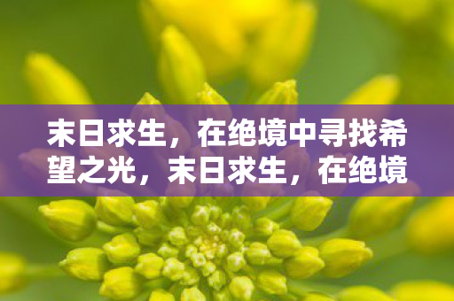 末日求生，在绝境中寻找希望之光，末日求生，在绝境中寻找希望之光