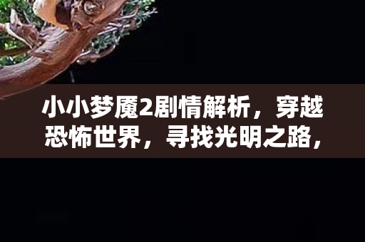 小小梦魇2剧情解析，穿越恐怖世界，寻找光明之路，小小梦魇2，穿越恐怖世界，探寻光明之路的剧情解析