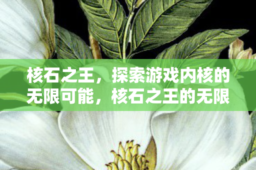 核石之王，探索游戏内核的无限可能，核石之王的无限可能，探索游戏内核的奥秘