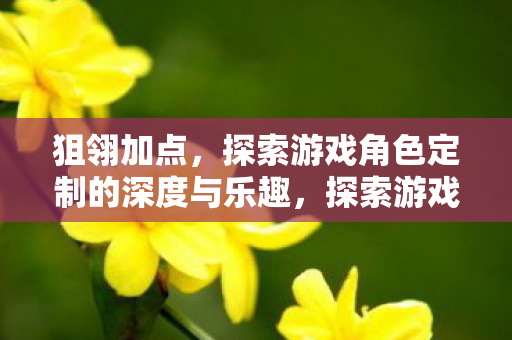 狙翎加点，探索游戏角色定制的深度与乐趣，探索游戏角色定制，狙翎加点，解锁深度与乐趣