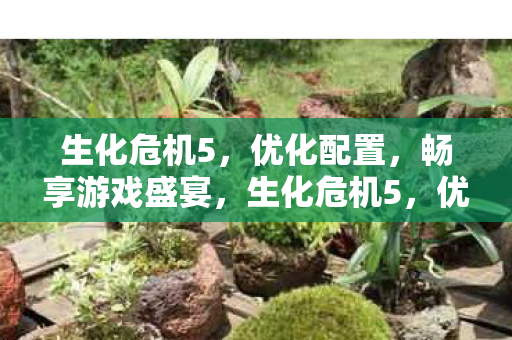 生化危机5，优化配置，畅享游戏盛宴，生化危机5，优化设置，打造流畅游戏体验