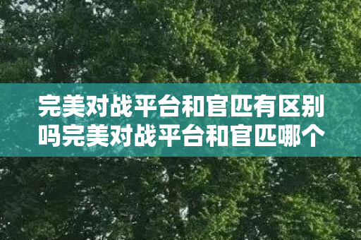 完美对战平台和官匹有区别吗完美对战平台和官匹哪个好图片