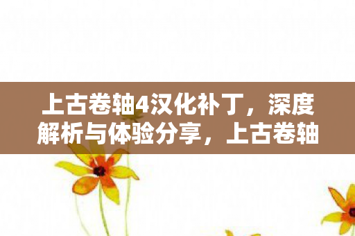 上古卷轴4汉化补丁，深度解析与体验分享，上古卷轴4汉化补丁深度解析，游戏体验与分享