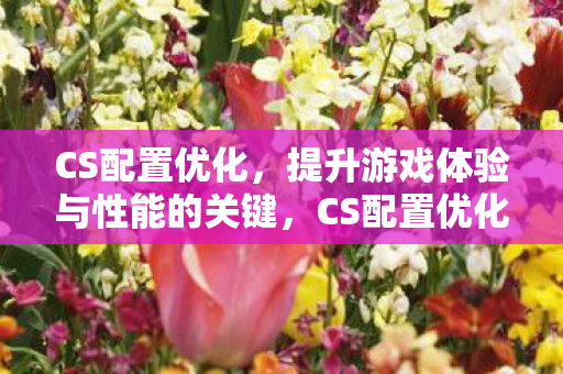 CS配置优化，提升游戏体验与性能的关键，CS配置优化，解锁游戏性能与体验的关键
