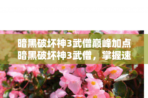 暗黑破坏神3武僧巅峰加点暗黑破坏神3武僧，掌握速度与力量的神秘角色，暗黑破坏神3武僧巅峰加点攻略，掌握速度与力量的神秘角色