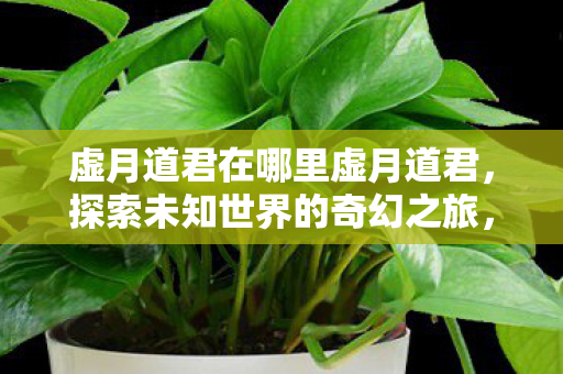 虚月道君在哪里虚月道君,探索未知世界的奇幻之旅,探索未知世界的奇幻之旅,虚月道君 虚月道君在哪里虚月道君,探索未知世界的奇幻之旅,探索未知世界的奇幻之旅,虚月道君