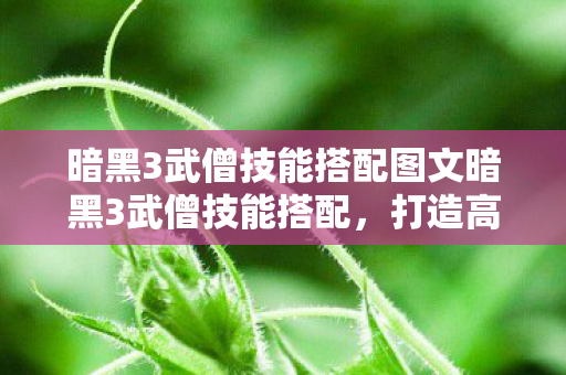 暗黑3武僧技能搭配图文暗黑3武僧技能搭配，打造高效战斗组合，暗黑3武僧技能搭配，打造高效战斗组合