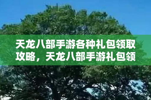 天龙八部手游各种礼包领取攻略图片