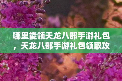 哪里能领天龙八部手游礼包,天龙八部手游礼包领取攻略 哪里能领天龙八部手游礼包,天龙八部手游礼包领取攻略