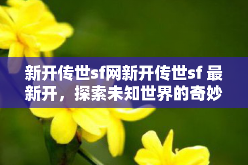 新开传世sf网新开传世sf 最新开图片