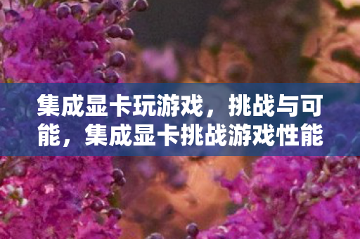 集成显卡玩游戏，挑战与可能，集成显卡挑战游戏性能极限，可能性与限制