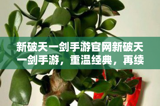 新破天一剑手游官网新破天一剑手游图片