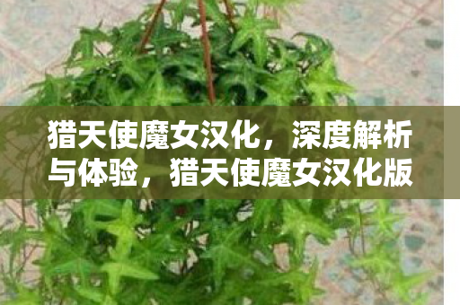 猎天使魔女汉化,深度解析与体验,猎天使魔女汉化版深度解析与游戏体验 猎天使魔女汉化,深度解析与体验,猎天使魔女汉化版深度解析与游戏体验