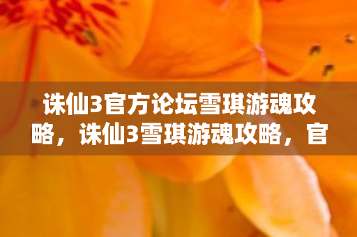 诛仙3官方论坛雪琪游魂攻略图片
