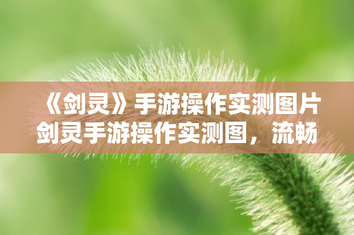 手游操作实测图片剑灵手游操作实测图图片