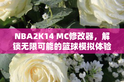 NBA2K14 MC修改器，解锁无限可能的篮球模拟体验，NBA2K14 MC修改器，解锁无限可能的篮球模拟体验