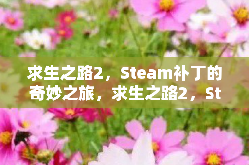 求生之路2，Steam补丁的奇妙之旅，求生之路2，Steam补丁的冒险之旅