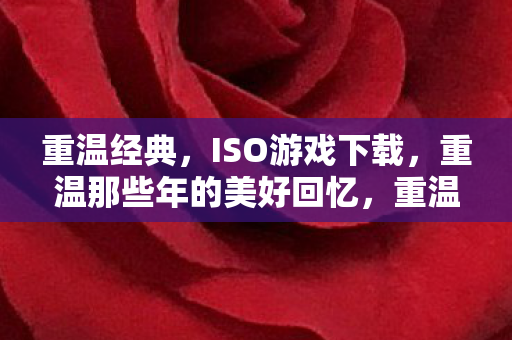 重温经典，ISO游戏下载，重温那些年的美好回忆，重温经典，重温那些年的美好回忆，ISO游戏下载来袭！