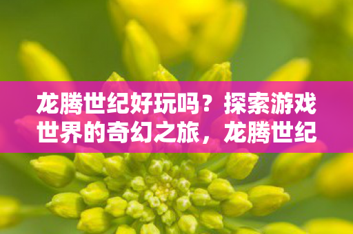 龙腾世纪好玩吗？探索游戏世界的奇幻之旅，龙腾世纪探索奇幻世界，一场令人着迷的游戏之旅