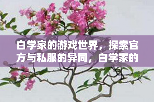 白学家的游戏世界，探索官方与私服的异同，白学家的游戏世界，官方与私服异同大揭秘