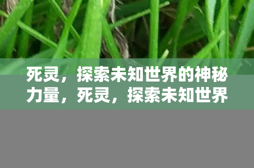 死灵，探索未知世界的神秘力量，死灵，探索未知世界的神秘力量