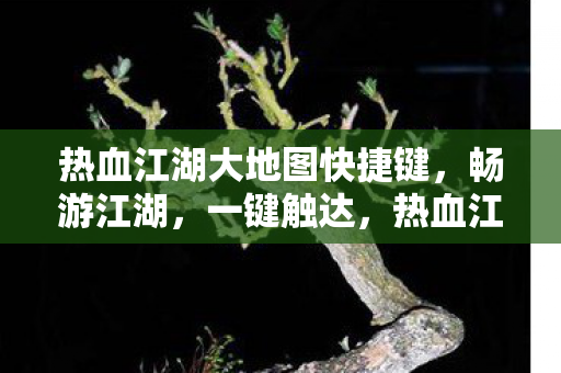 热血江湖大地图快捷键图片