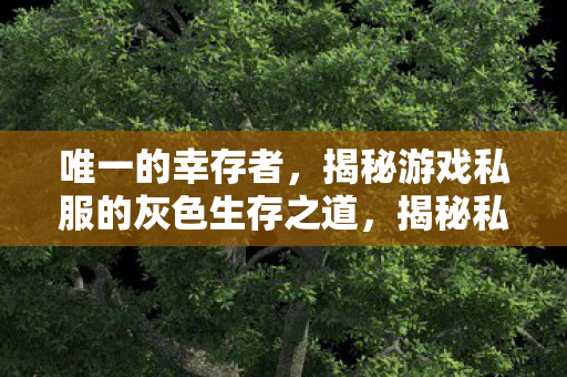 唯一的幸存者,揭秘游戏私服的灰色生存之道,揭秘私服灰色生存之道,唯一幸存者如何游走边缘 唯一的幸存者,揭秘游戏私服的灰色生存之道,揭秘私服灰色生存之道,唯一幸存者如何游走边缘