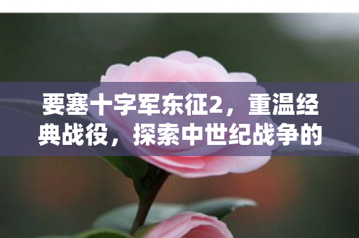 探索中世纪战争的魅力图片