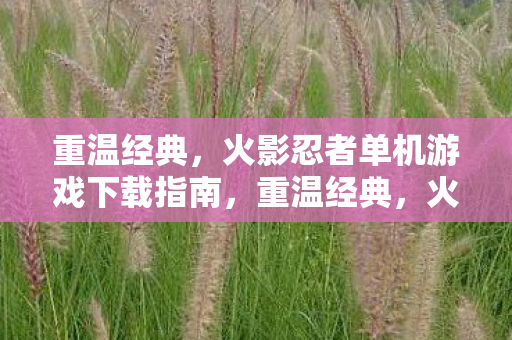 重温经典，火影忍者单机游戏下载指南，重温经典，火影忍者单机游戏下载全攻略