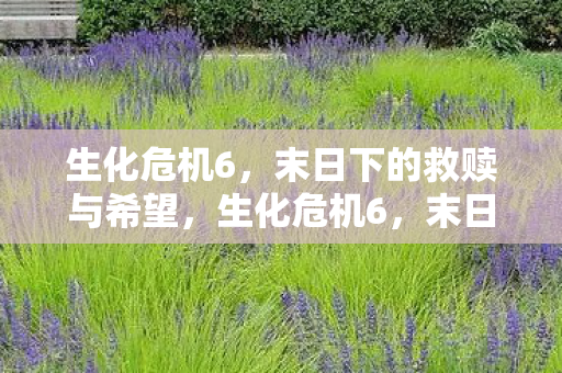 生化危机6，末日下的救赎与希望，生化危机6，末日下的救赎与希望