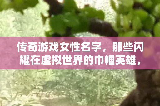 传奇游戏女性名字，那些闪耀在虚拟世界的巾帼英雄，虚拟世界的巾帼英雄，传奇游戏女性名字