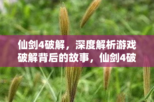 仙剑4破解，深度解析游戏破解背后的故事，仙剑4破解背后的故事，深度解析游戏破解的真相