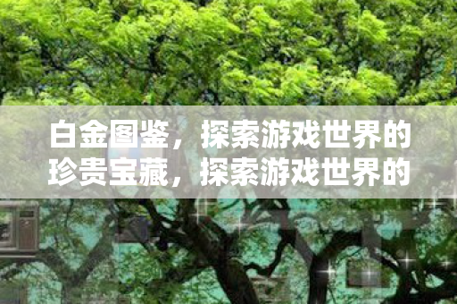 白金图鉴，探索游戏世界的珍贵宝藏，探索游戏世界的珍贵宝藏，白金图鉴