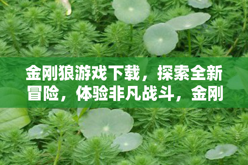 金刚狼游戏下载,探索全新冒险,体验非凡战斗,金刚狼游戏,探索全新冒险,体验非凡战斗 金刚狼游戏下载,探索全新冒险,体验非凡战斗,金刚狼游戏,探索全新冒险,体验非凡战斗