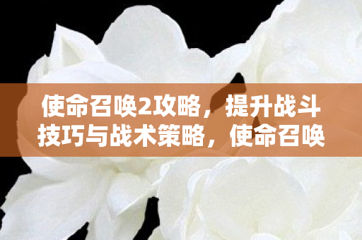 使命召唤2攻略，提升战斗技巧与战术策略，使命召唤2，提升战斗技巧与战术策略全攻略