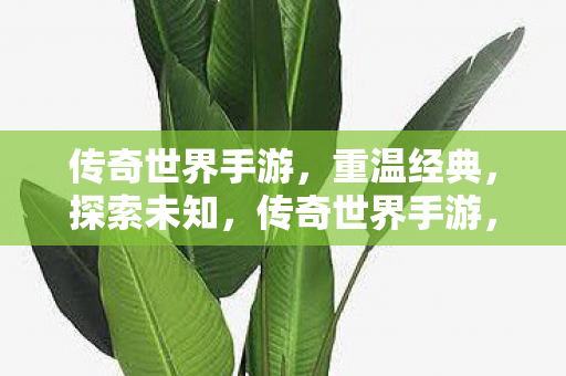 传奇世界手游图片