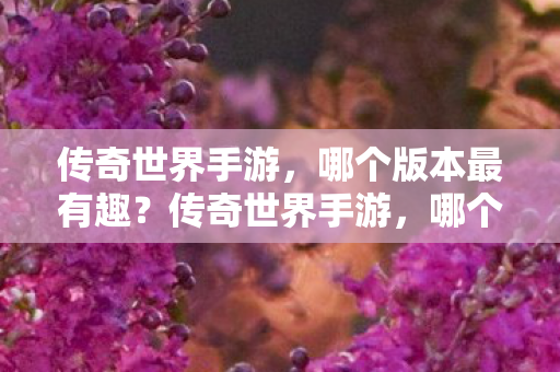 哪个版本最有趣图片