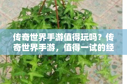 传奇世界手游值得玩吗图片
