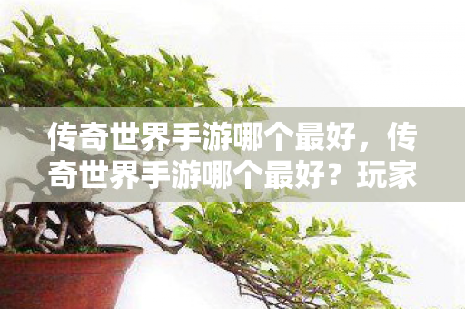 传奇世界手游哪个最好图片