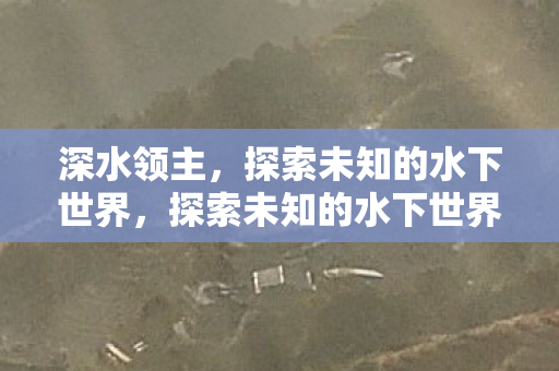深水领主，探索未知的水下世界，探索未知的水下世界，深水领主的神秘之旅