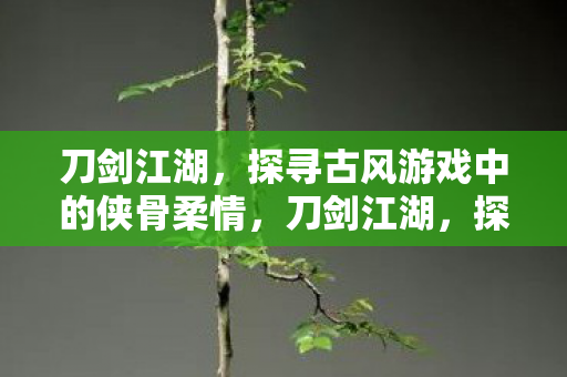 刀剑江湖，探寻古风游戏中的侠骨柔情，刀剑江湖，探寻古风游戏中的侠骨柔情