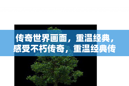 传奇世界画面，重温经典，感受不朽传奇，重温经典传奇世界画面，感受不朽传奇魅力