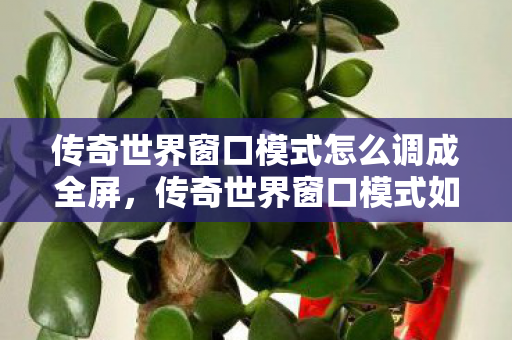 传奇世界窗口模式怎么调成全屏，传奇世界窗口模式如何调整为全屏模式