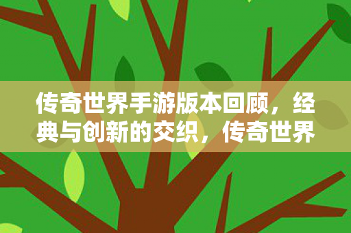 经典与创新交织的版本回顾图片