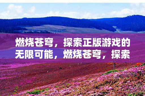 燃烧苍穹，探索正版游戏的无限可能，燃烧苍穹，探索正版游戏的无限可能