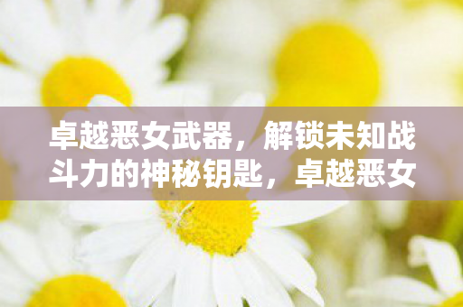 卓越恶女武器,解锁未知战斗力的神秘钥匙,卓越恶女武器,解锁未知战斗力的神秘钥匙 卓越恶女武器,解锁未知战斗力的神秘钥匙,卓越恶女武器,解锁未知战斗力的神秘钥匙