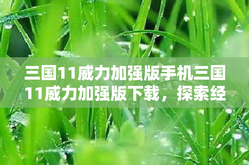 三国11威力加强版手机三国11威力加强版下载，探索经典战棋的无限可能，三国11威力加强版手机下载，经典战棋的无限可能等你来探索