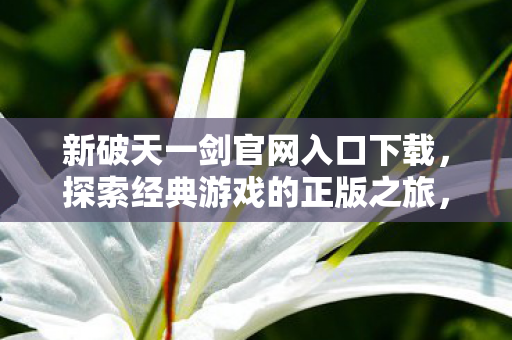 开启经典游戏正版之旅下载图片